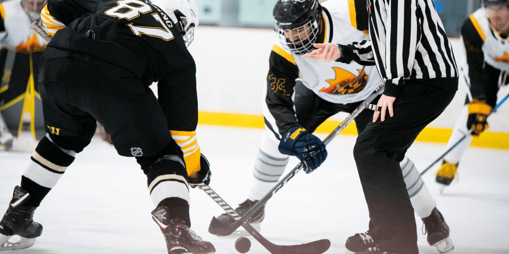 Playing Hockey with a&nbsp;Fury